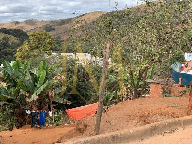 #339 - Terreno para Venda em Coronel Fabriciano - MG - 2